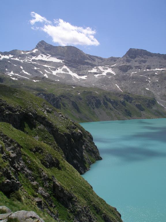 Hotel Dama Bianca Valtournenche Bagian luar foto
