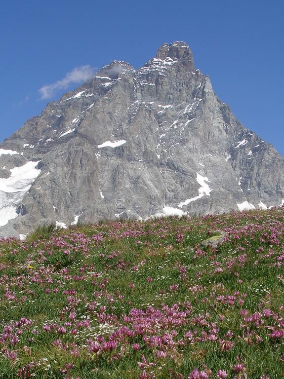 Hotel Dama Bianca Valtournenche Bagian luar foto