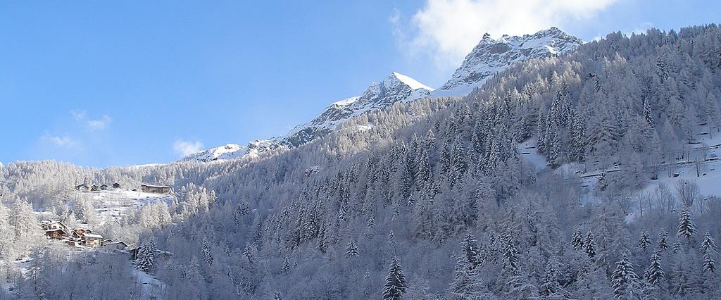 Hotel Dama Bianca Valtournenche Bagian luar foto